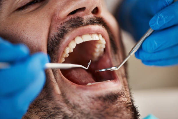 Best Knocked-Out Tooth Emergency  in Portland, MI